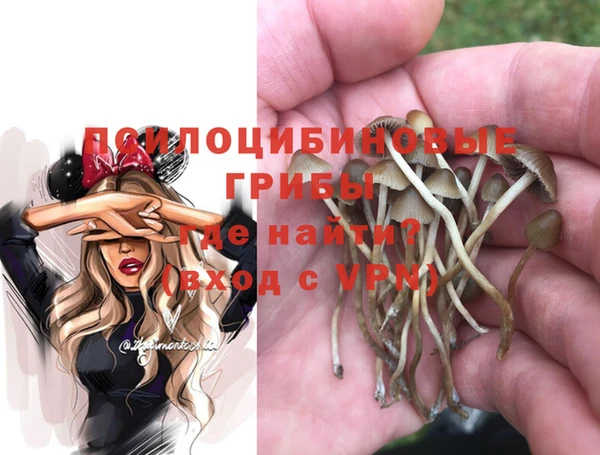 ALPHA-PVP Нея