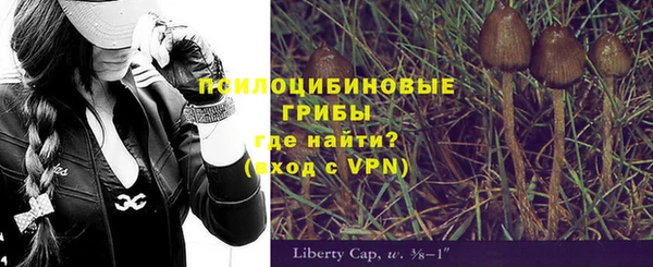шишки Нефтекумск