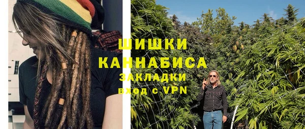 шишки Нефтекумск