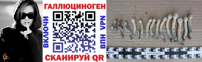 Галлюциногенные грибы Magic Shrooms Купить закладки Кашира